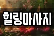 전남 고흥군 두원면 마사지, 지압등 업체정보