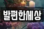 발편한세상