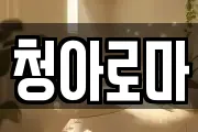 청아로마