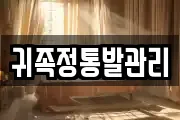 귀족정통발관리
