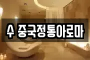 수 중국정통아로마