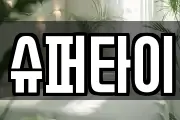 슈퍼타이