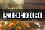 힐링바디케어아로마