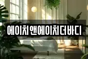 에이치앤에이치더바디