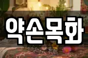 전남 담양군 담양읍 마사지, 지압등 업체정보