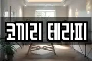 코끼리 테라피