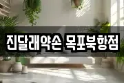 진달래약손 목포북항점