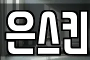 은스킨