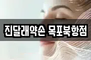 진달래약손 목포북항점