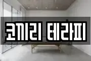 코끼리 테라피