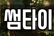썸타이