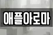 애플아로마