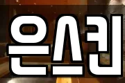 은스킨