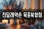 진달래약손 목포북항점