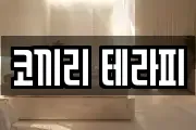 코끼리 테라피