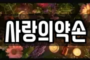 사랑의약손