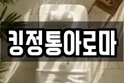 킹정통아로마