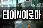 타이N아로마