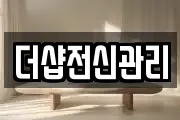 더샵전신관리