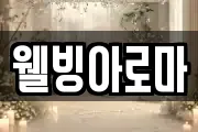 웰빙아로마