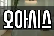 오아시스
