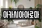 아카시아아로마