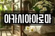아카시아아로마