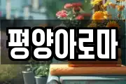 평양아로마