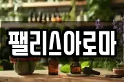 팰리스아로마