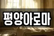 평양아로마