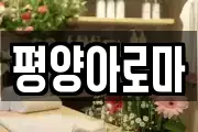 평양아로마