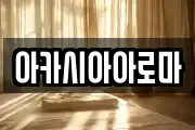 아카시아아로마