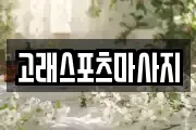 고래스포츠마사지