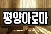 평양아로마