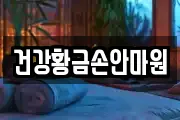 건강황금손안마원