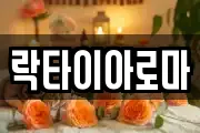 락타이아로마
