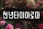 천년타이아로마