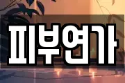 피부연가