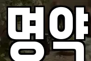 명약