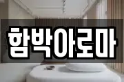 전라남도 곡성군 곡성읍 마사지, 지압등 업체정보