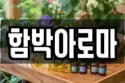 전라남도 곡성군 오곡면 마사지, 지압등 업체정보