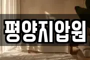 평양지압원