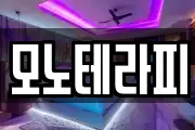 모노테라피