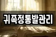 귀족정통발관리
