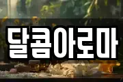 달콤아로마