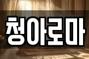 청아로마