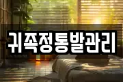 귀족정통발관리
