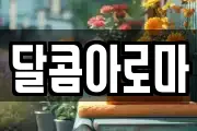 달콤아로마