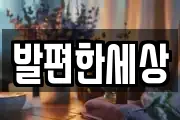 발편한세상