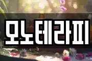 모노테라피